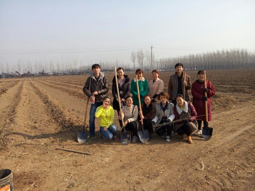 博農(nóng)集團領導、基層黨政負責人等同志積極參加植樹活動